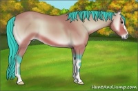 Horse Color:Watercolor Bay Onyx 