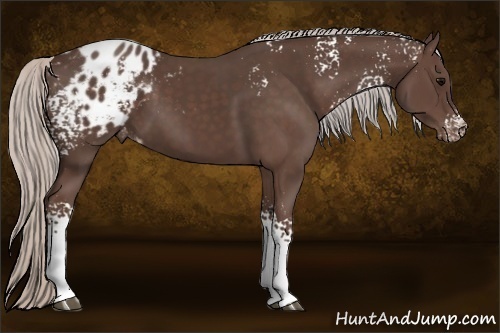 Horse Color:White Spotted Silver Black Varnish 