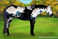 Horse Color:White Spotted Bay Ice Onyx Tobiano Rabicano 