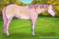 Horse Color:Watercolor Smoky Blue Onyx Ice Sabino 