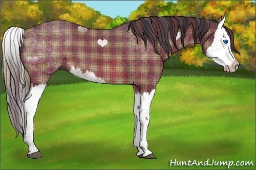 Horse Color:Plaid  Brown Splash 