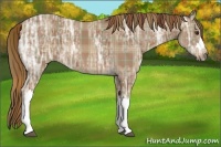 Horse Color:Plaid  Chestnut Ice 