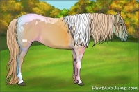 Horse Color:Red Dun Tobiano