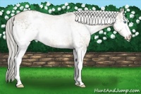 Horse Color:White Spotted Chocolate Palomino Pearl 