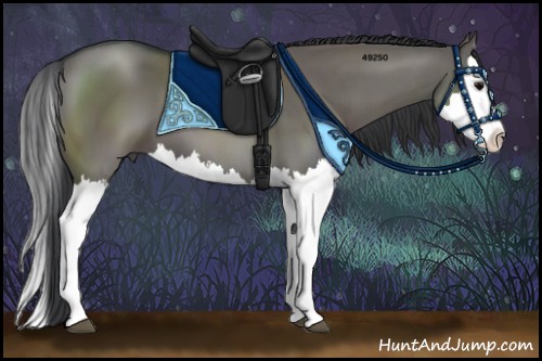 Horse Color:Grullo Sabino Splash 