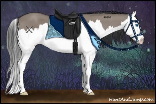 Horse Color:Grullo Sabino Splash 