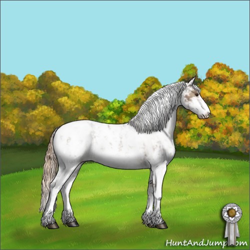 Horse Color:Liver Red Dun Sabino Appaloosa Rabicano