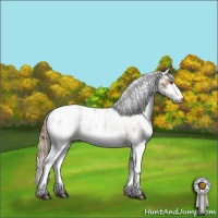 Horse Color:Liver Red Dun Sabino Blanket Rabicano