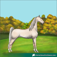Horse Color:Silver Sable Champagne Dun 