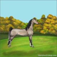 Horse Color:Brown Dun 