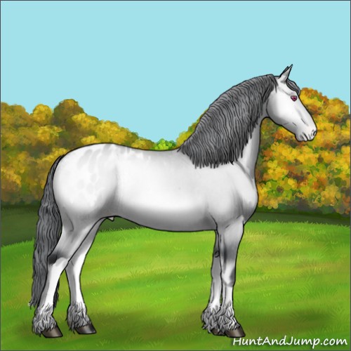Horse Color:Bay Chinchilla Onyx Blanket Rabicano 