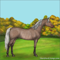 Horse Color:Liver Red Dun Mushroom Rabicano Brindle 