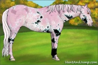 Horse Color:Watercolor Silver Black Chinchilla Ice Sabino