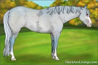 Horse Color:Watercolor Silver Sable Champagne Chinchilla Ice Sabino