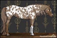 Horse Color:Chocolate Palomino Roan Blanket 