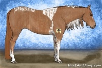 Horse Color:Chestnut  and Chestnut Tobiano 