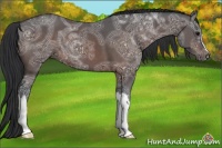 Horse Color:Brown Ice 