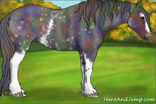 Horse Color:ERROR: UNKNOWN ANOMALY