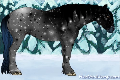 Horse Color:ERROR: UNKNOWN ANOMALY