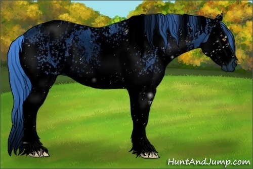Horse Color:ERROR: UNKNOWN ANOMALY