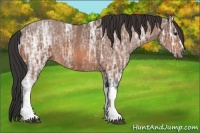 Horse Color:Bay Ice 