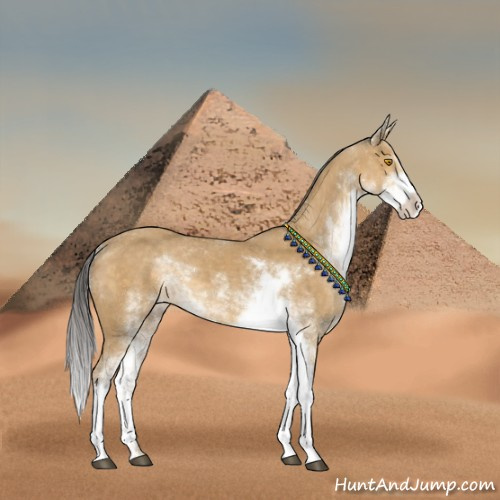 Horse Color:Buckskin Sabino 