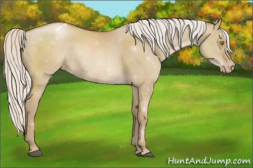 Horse Color:Silver Grullo Pearl Varnish Rabicano