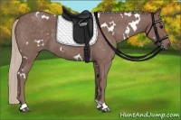 Horse Color:White Spotted Chocolate Silver Blue Roan