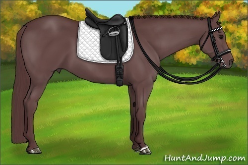 Horse Color:Chocolate Black