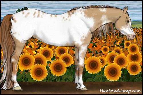Horse Color:White Spotted Red Dun Sabino Frame Blanket