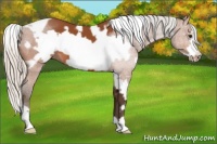 Horse Color:White Spotted Silver Bay Frame 