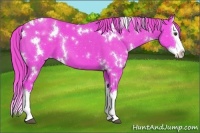 Horse Color:Watercolor White Spotted Liver Chestnut Splash 