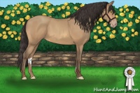 Horse Color:Amber Champagne 