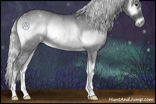 Horse Color:Silver Blue Onyx Chinchilla 