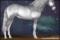 Horse Color:Silver Blue Onyx Chinchilla 