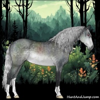 Horse Color:Silver Brown Chinchilla 