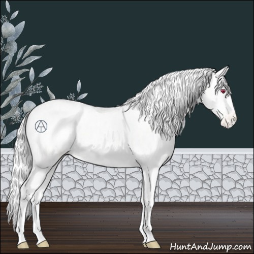 Horse Color:Red Onyx Chinchilla Appaloosa 