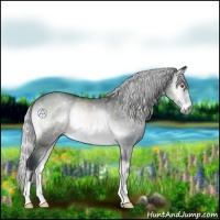 Horse Color:Silver Brown Chinchilla Onyx 