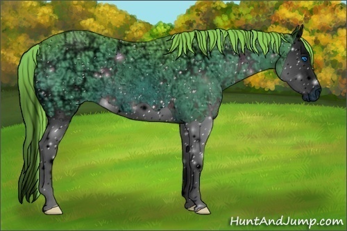 Horse Color:ERROR: UNKNOWN ANOMALY