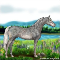 Horse Color:Liver Chestnut Ice Mushroom 