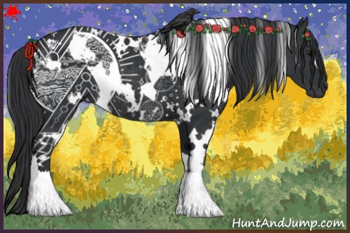 Horse Color:White Spotted Black Rabicano 