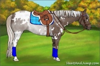 Horse Color:White Spotted Silver Black Rabicano