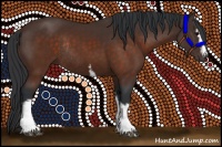 Horse Color:White Spotted Brown Rabicano