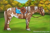 Horse Color:White Spotted Chestnut Ice
