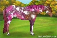 Horse Color:White Spotted Liver Chestnut Ice Snowflake Varnish