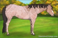Horse Color:Brown Ice Roan 