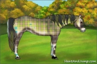 Horse Color:Plaid  Blue Onyx Roan 