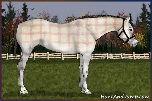 Horse Color:Plaid Smoky Grullo Roan Onyx