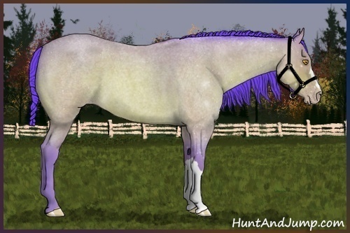 Horse Color:Watercolor Sable Champagne Roan