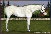 Horse Color:Watercolor Bay Ice Onyx Appaloosa 